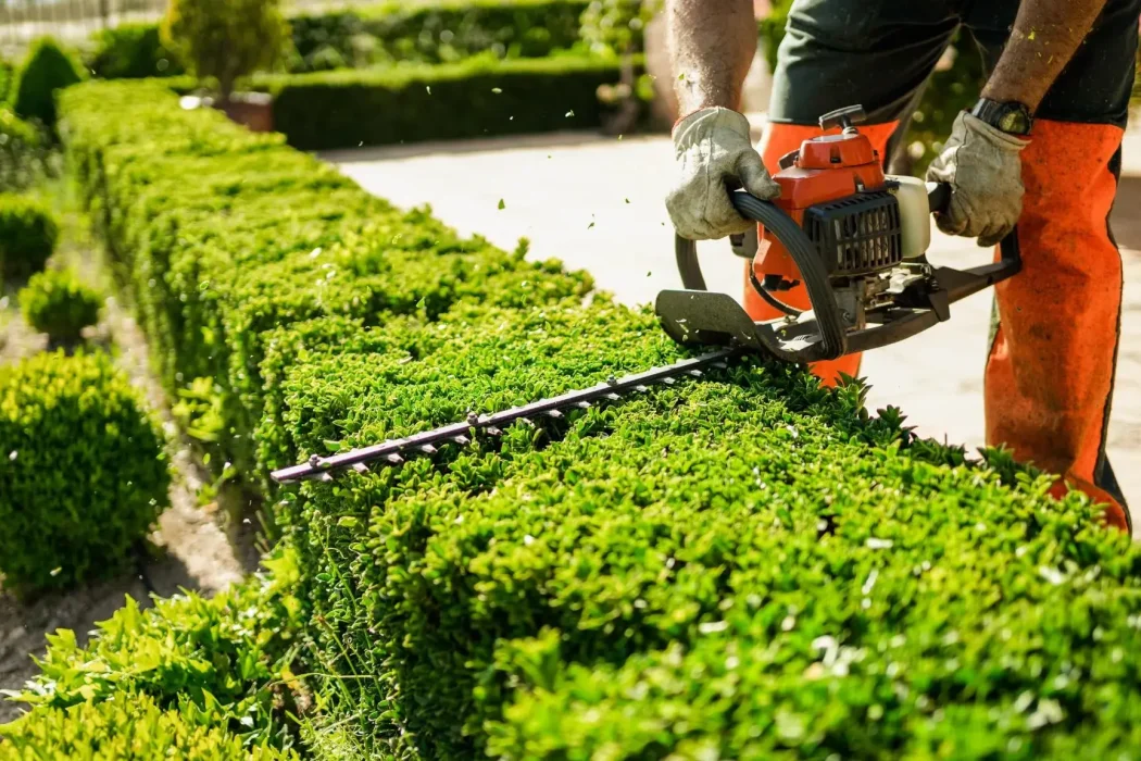 how-to-start-a-lawn-care-company-hedge-trimming-zWFx0m.tmp_